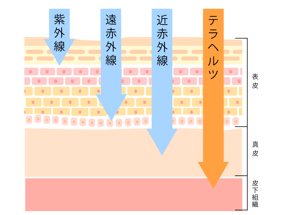 テラヘルツ波とは